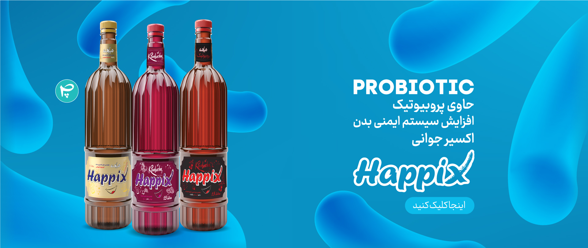 slide_10